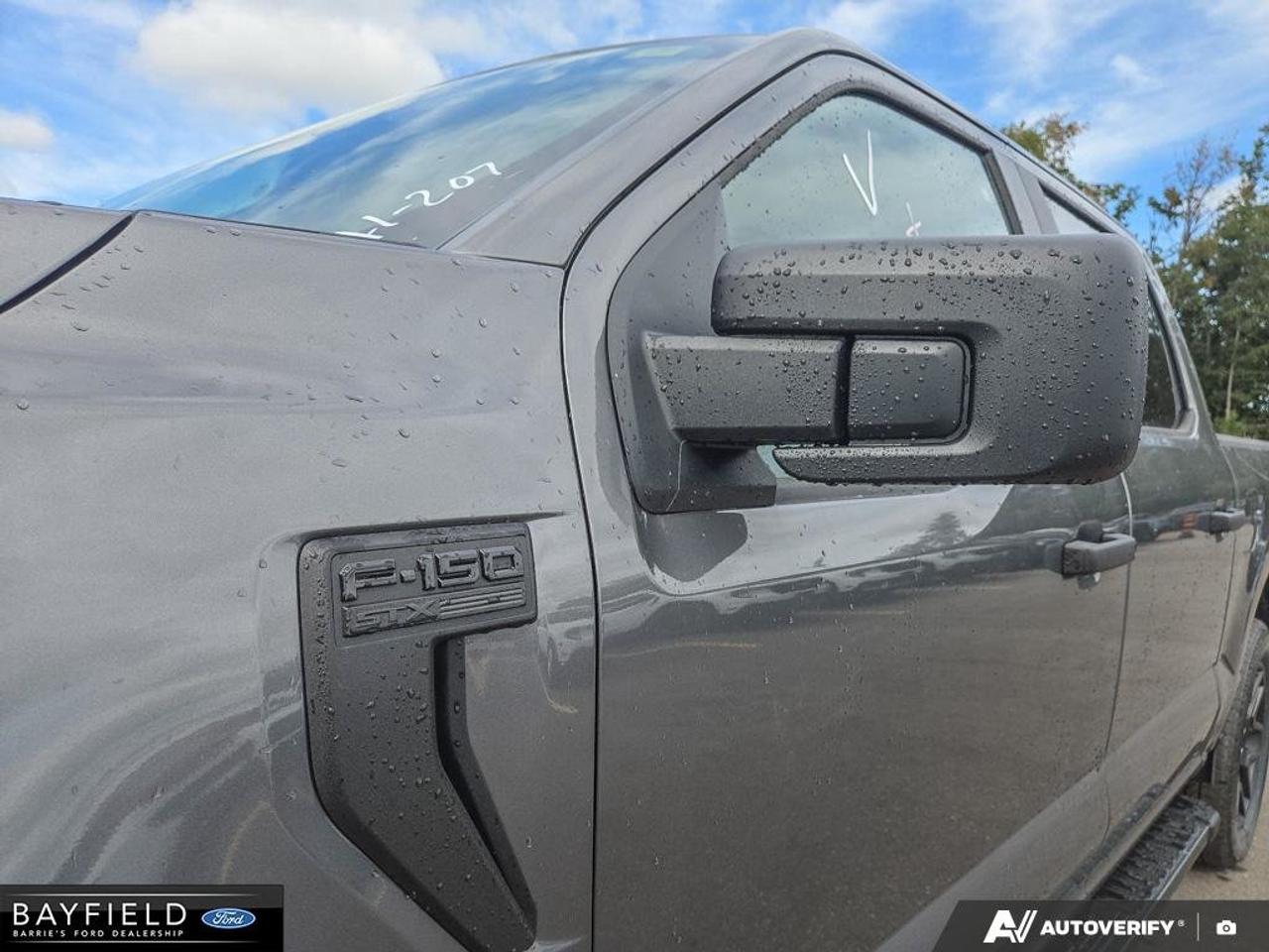 2026 Ford F-150 STX Photo