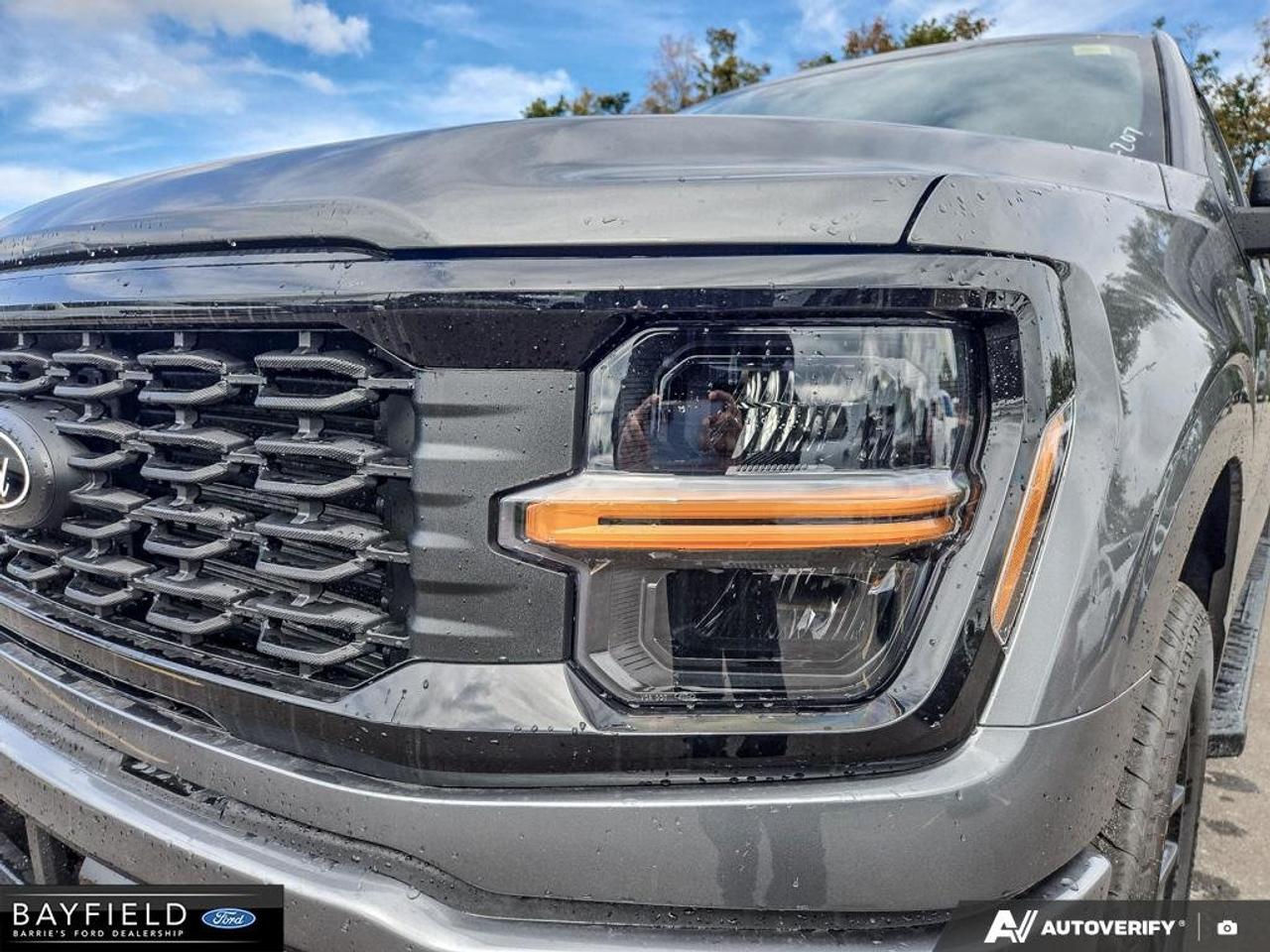 2026 Ford F-150 STX Photo