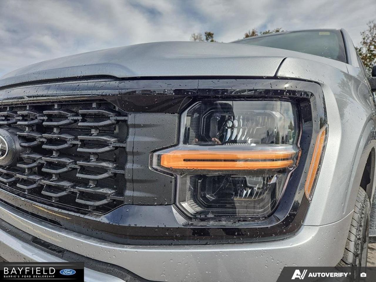 2026 Ford F-150 STX Photo