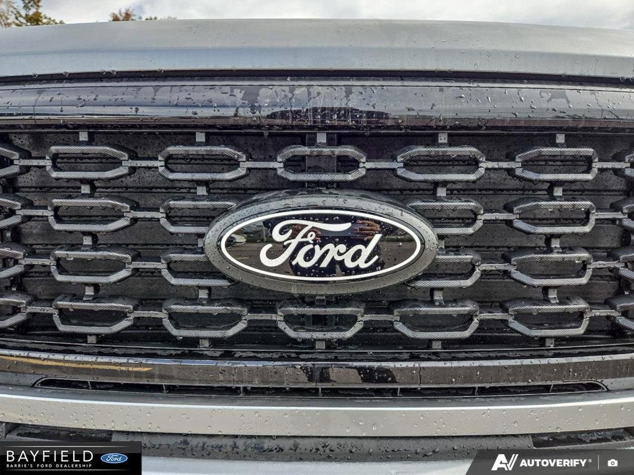 2026 Ford F-150 STX Photo