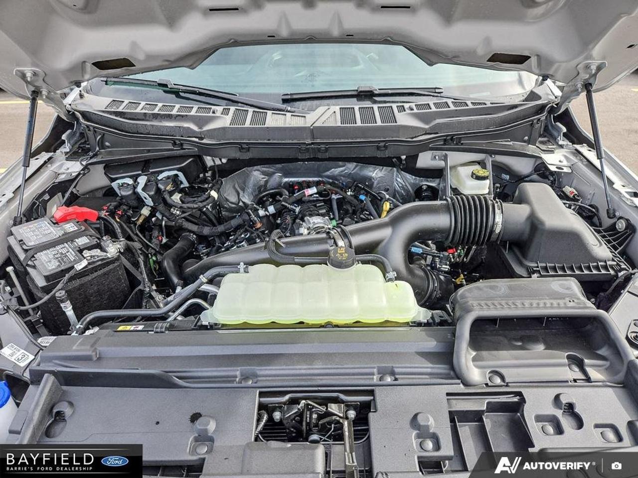 2026 Ford F-150 STX Photo