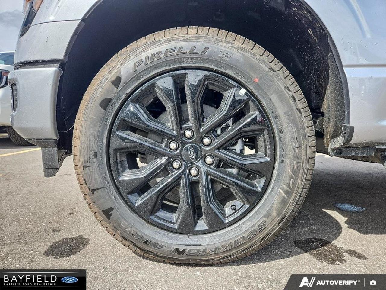 2026 Ford F-150 XLT Photo