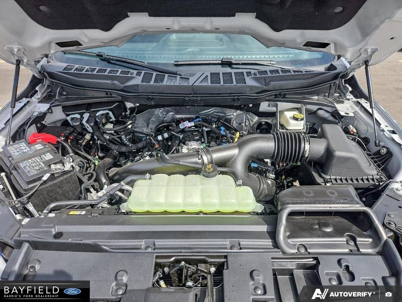 2026 Ford F-150 XLT Photo
