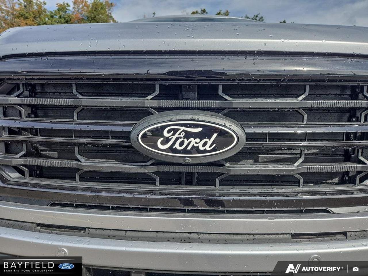 2026 Ford F-150 XLT Photo