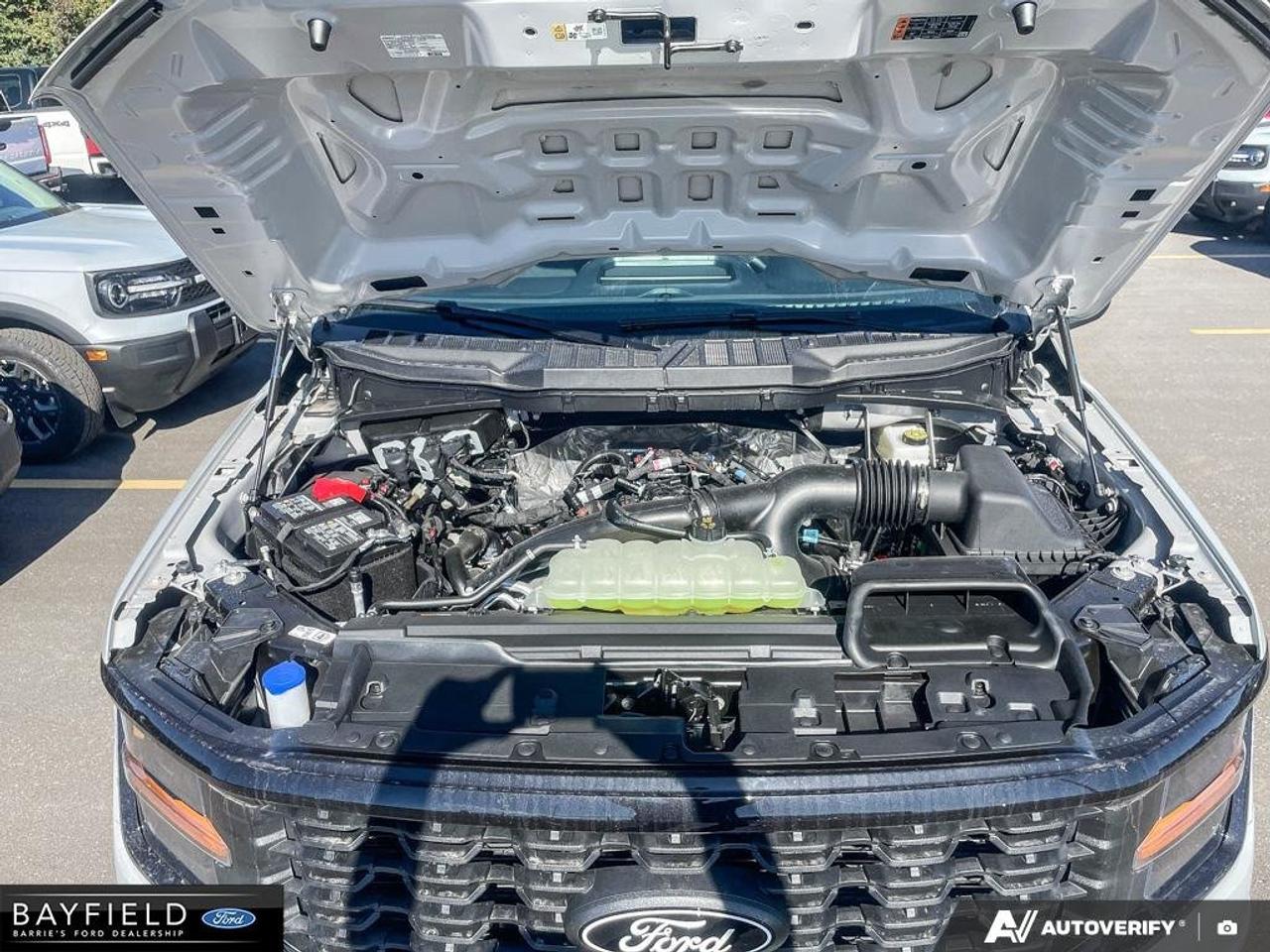 2026 Ford F-150 STX Photo