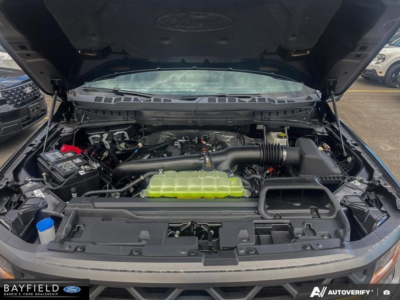 2026 Ford F-150 Tremor Photo