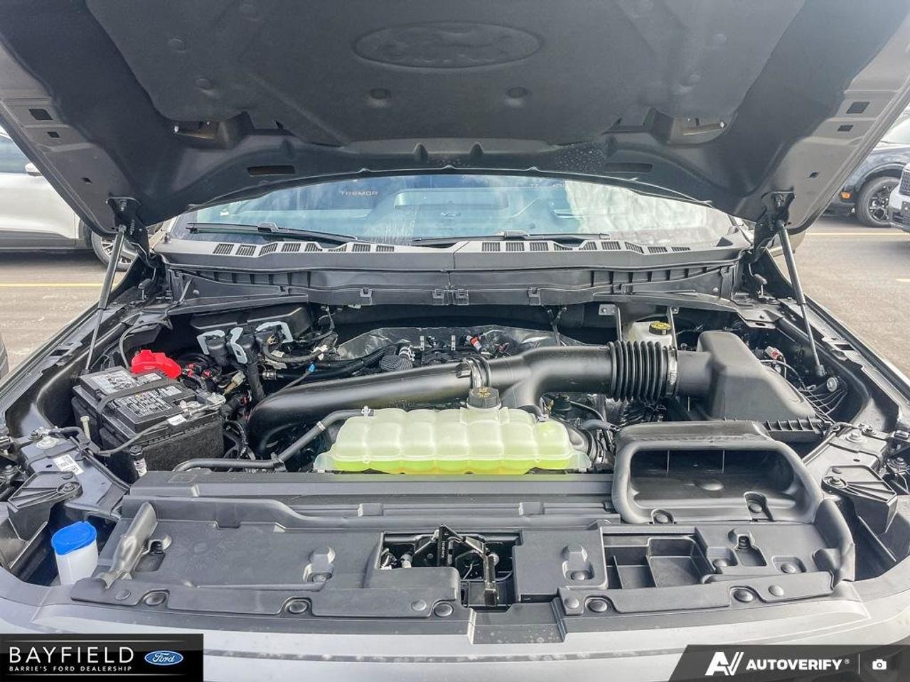 2026 Ford F-150 Tremor Photo