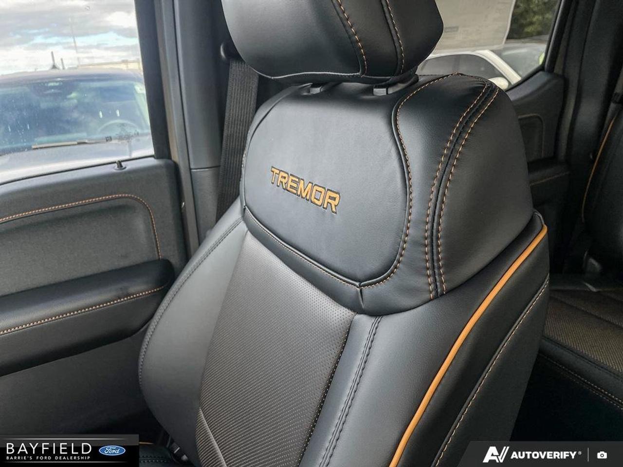 2026 Ford F-150 Tremor Photo