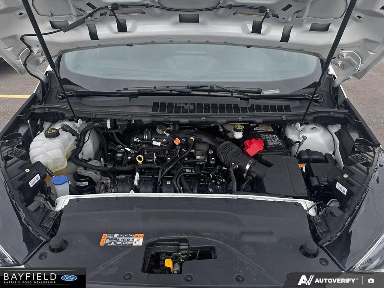 2024 Ford Edge  Photo