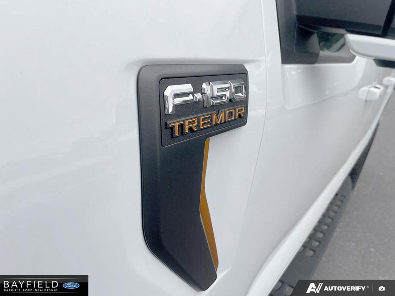 2026 Ford F-150 Tremor Photo