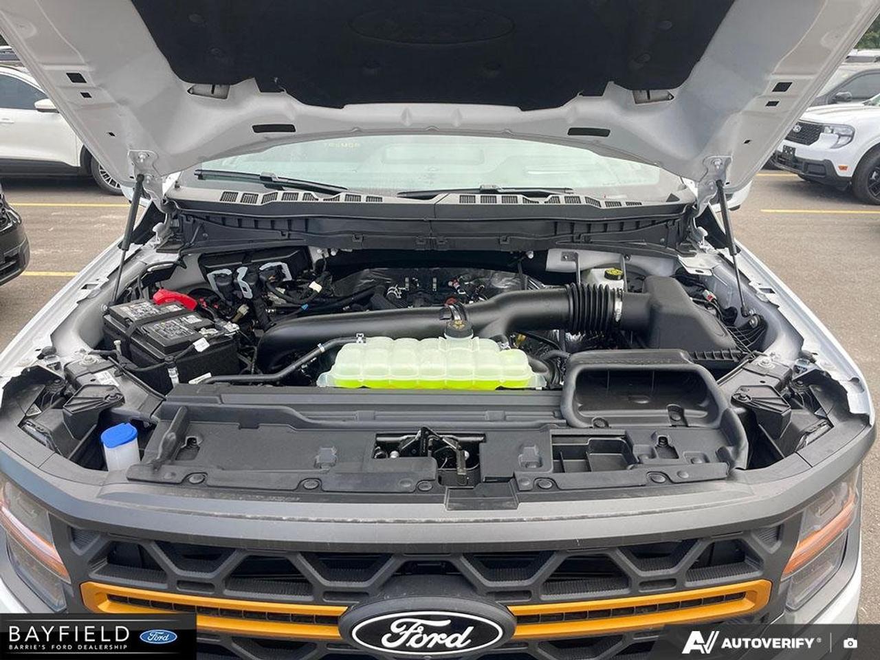 2026 Ford F-150 Tremor Photo