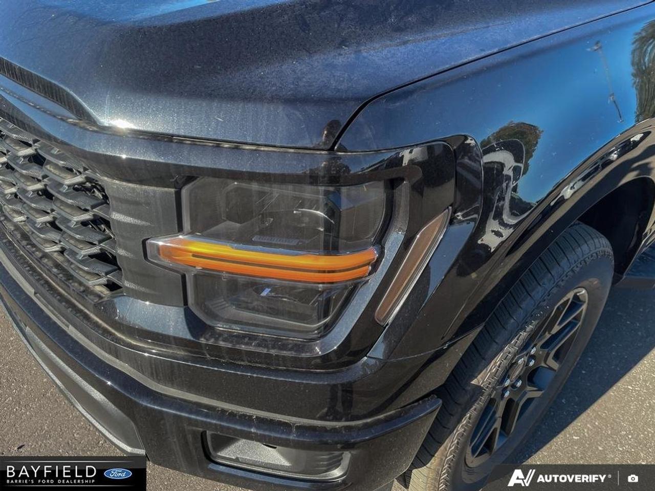 2026 Ford F-150 STX Photo