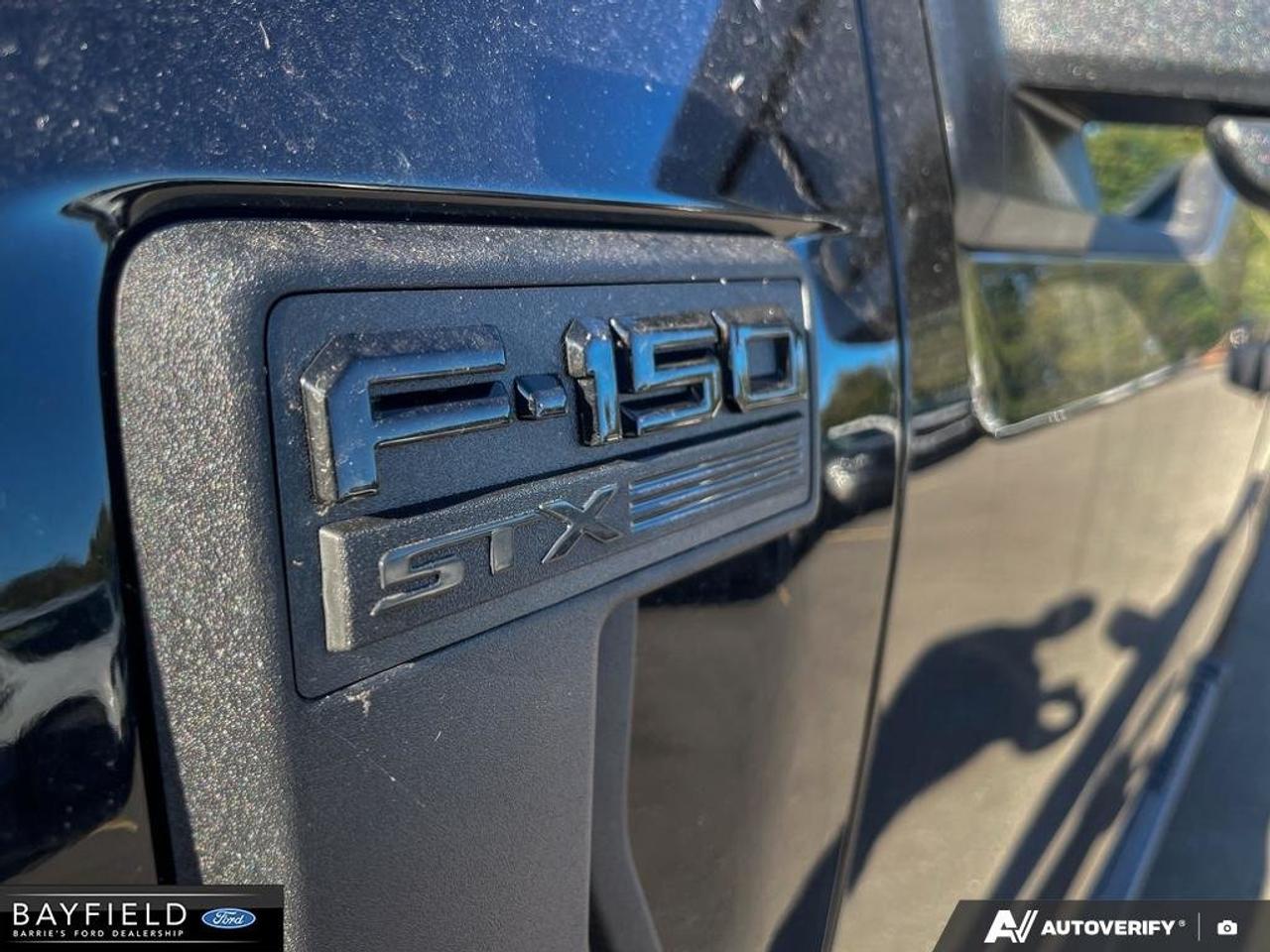 2026 Ford F-150 STX Photo