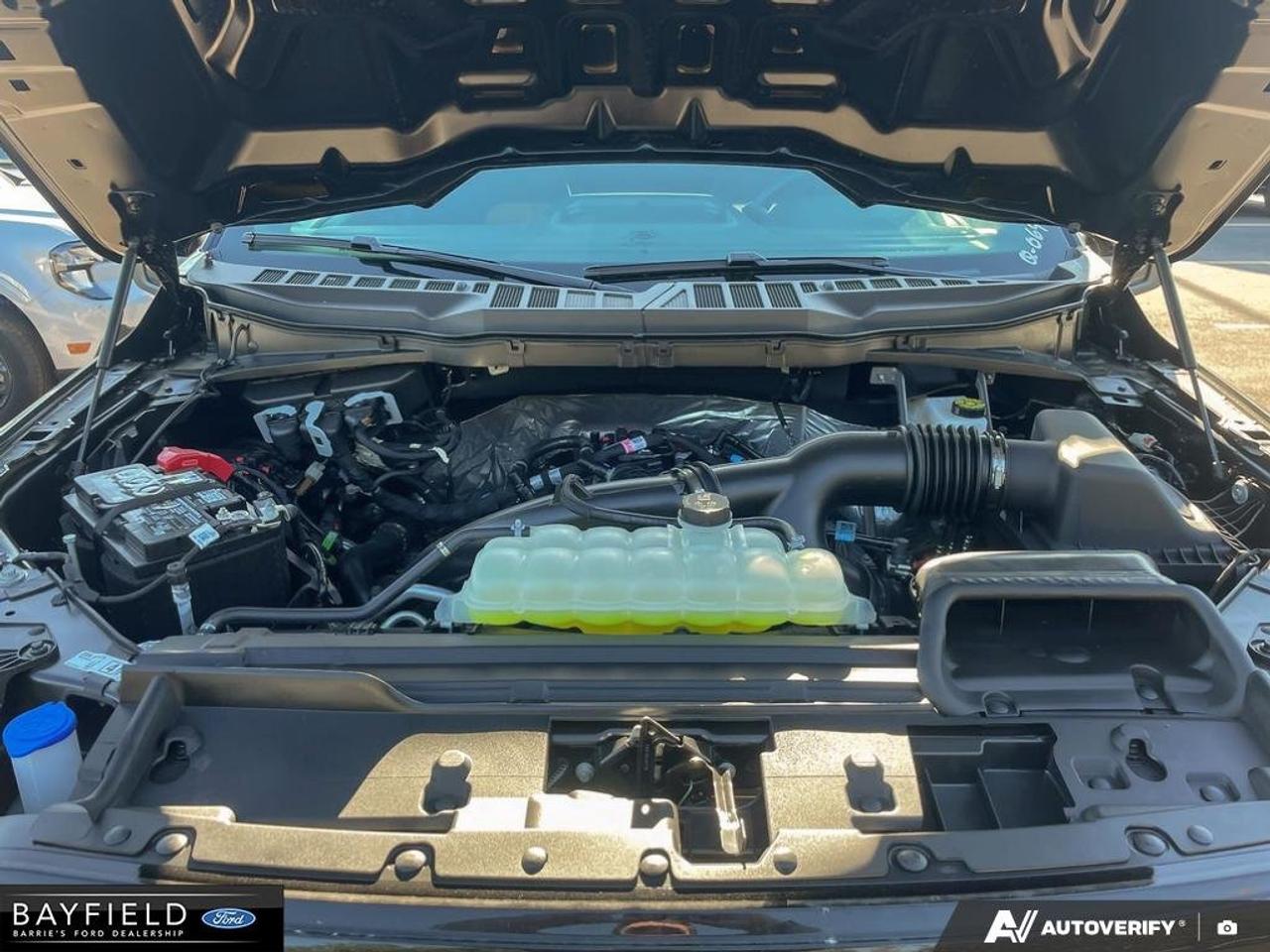 2026 Ford F-150 STX Photo