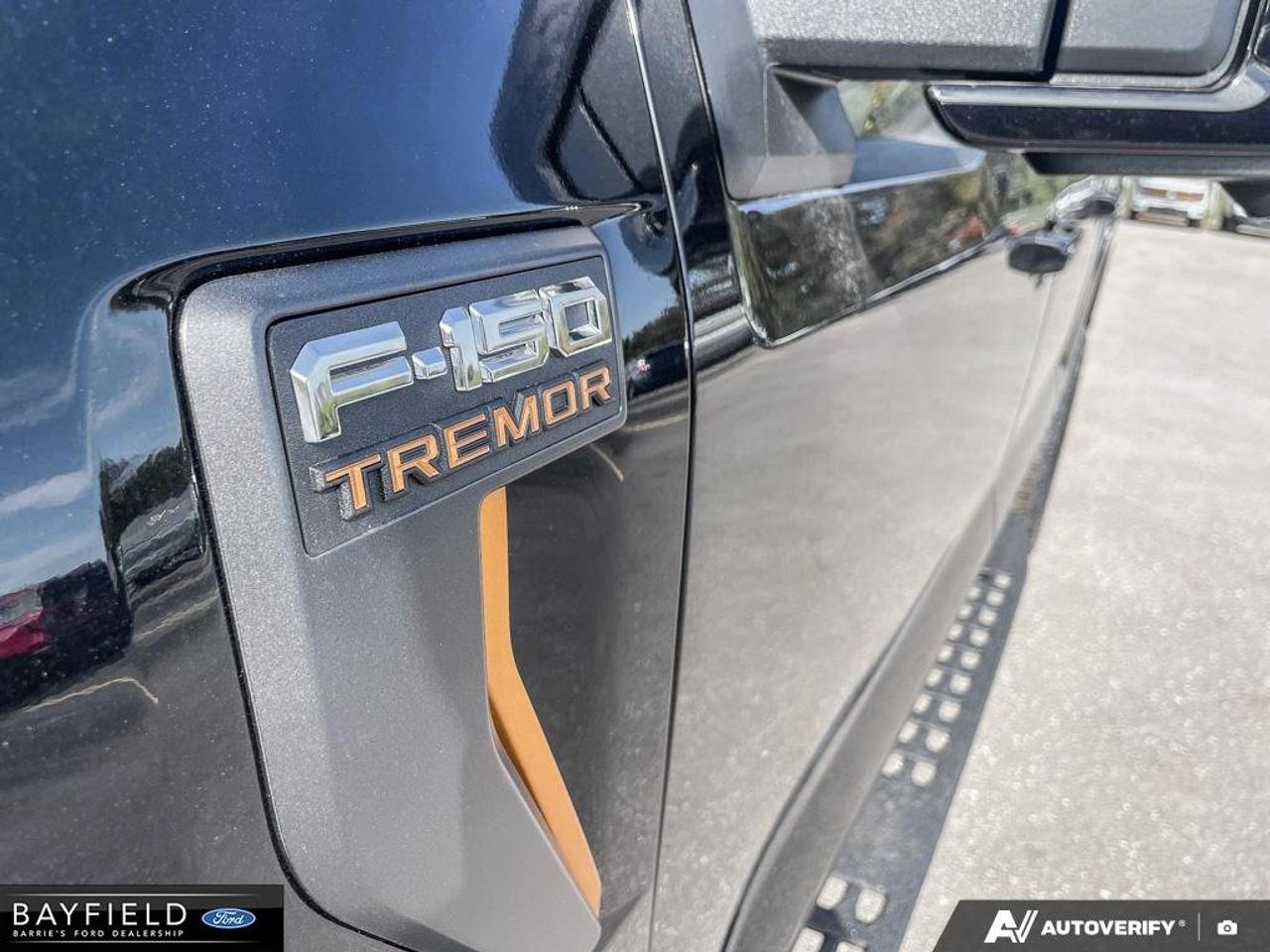 2026 Ford F-150 Tremor Photo
