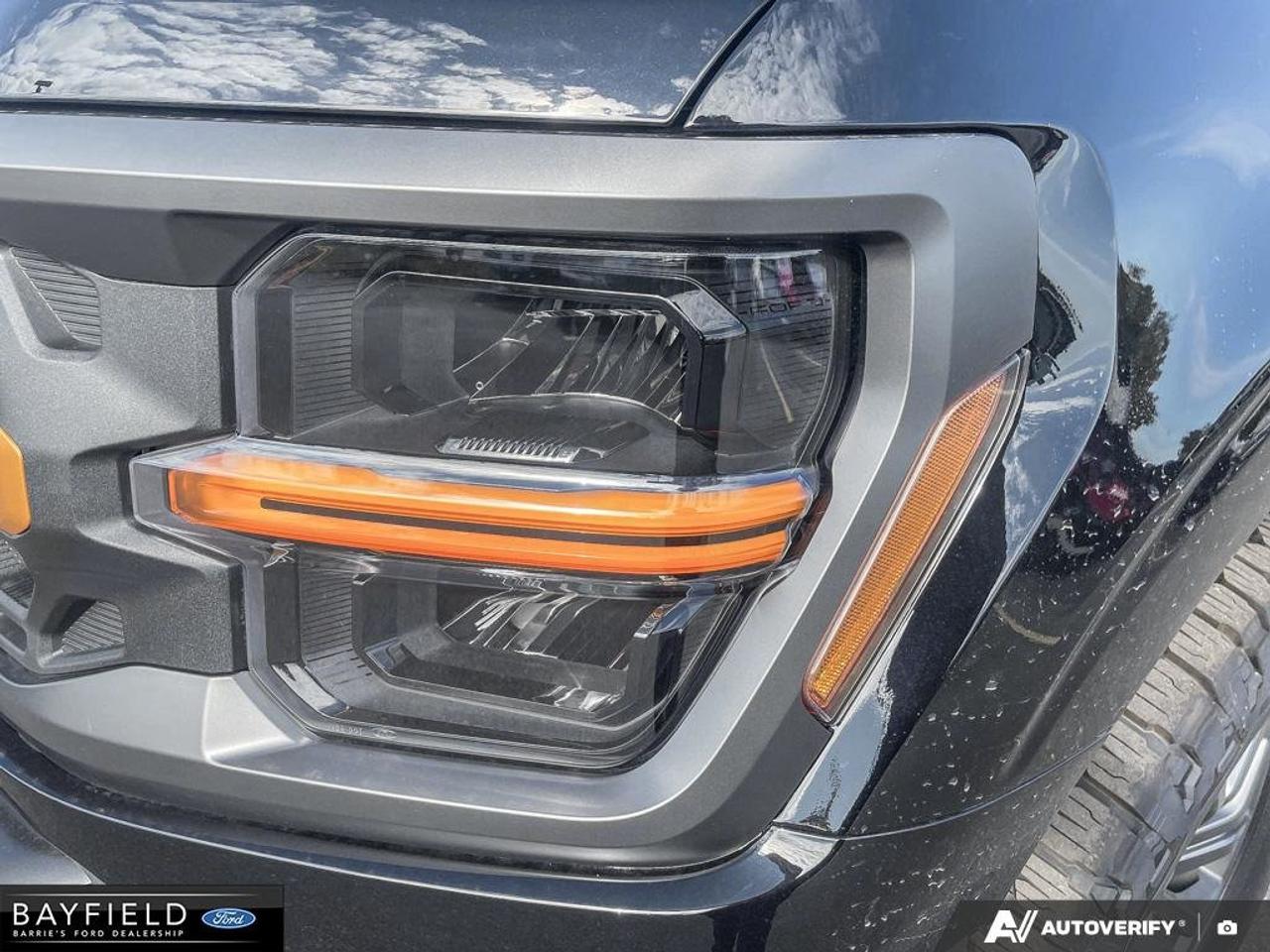 2026 Ford F-150 Tremor Photo
