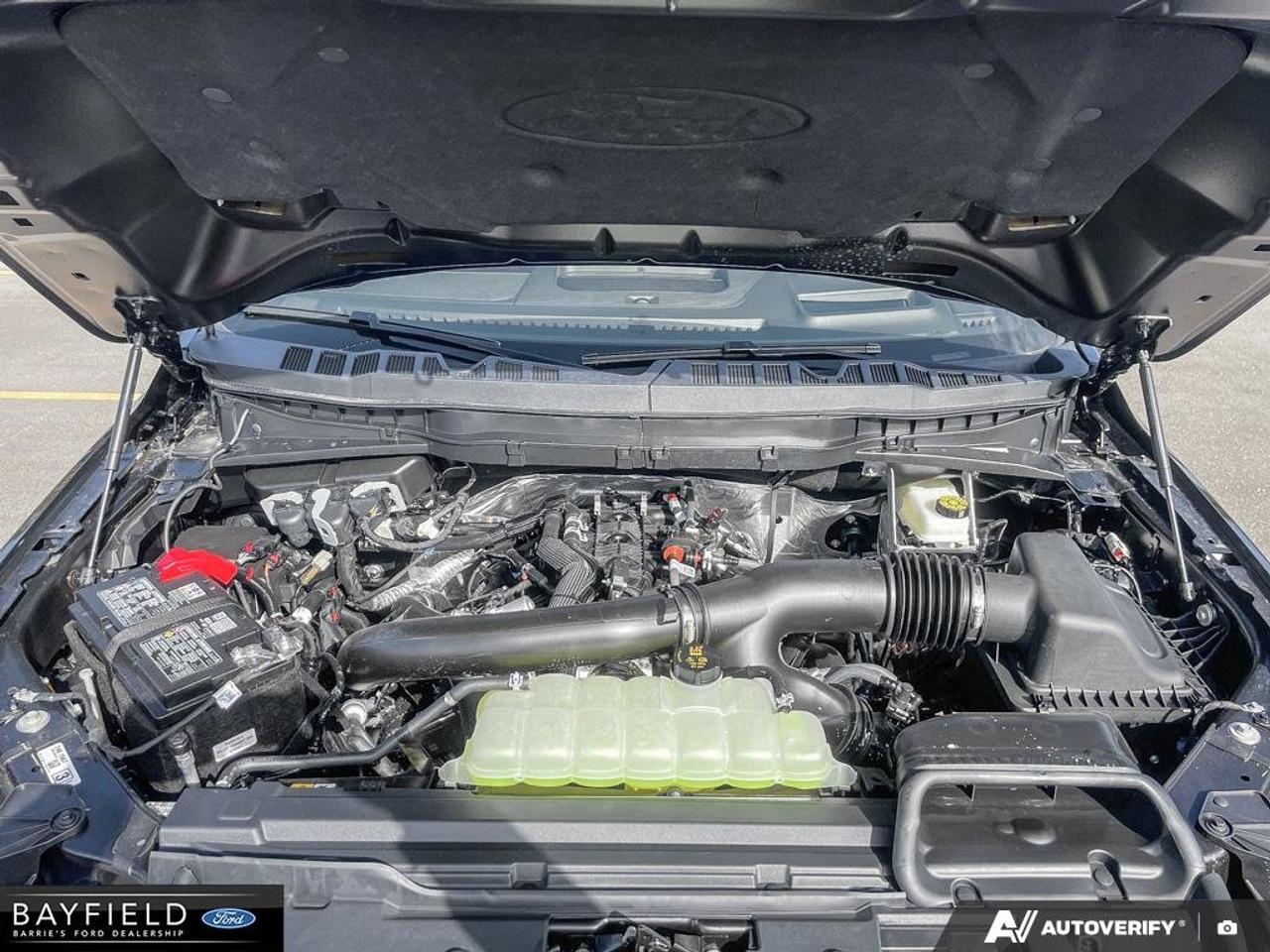 2026 Ford F-150 Tremor Photo