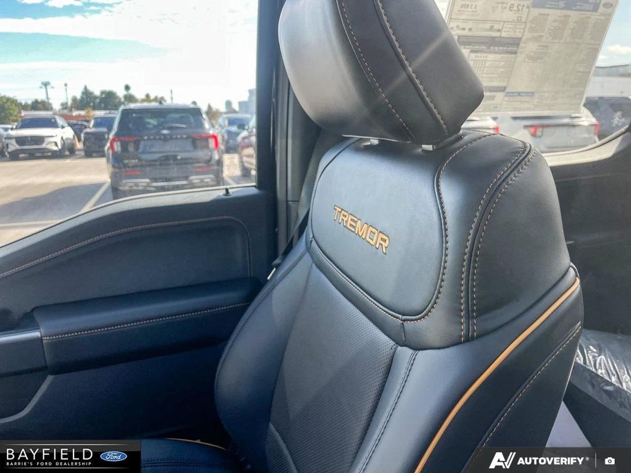 2026 Ford F-150 Tremor Photo