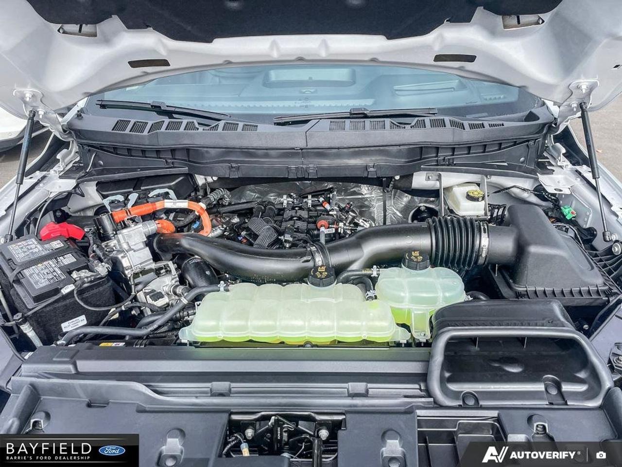 2026 Ford F-150 Platinum Photo