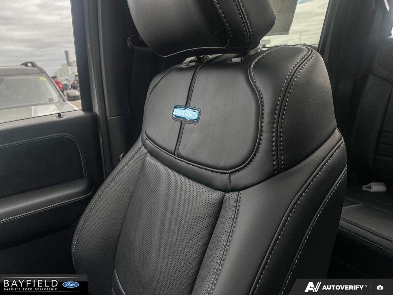 2026 Ford F-150 Platinum Photo