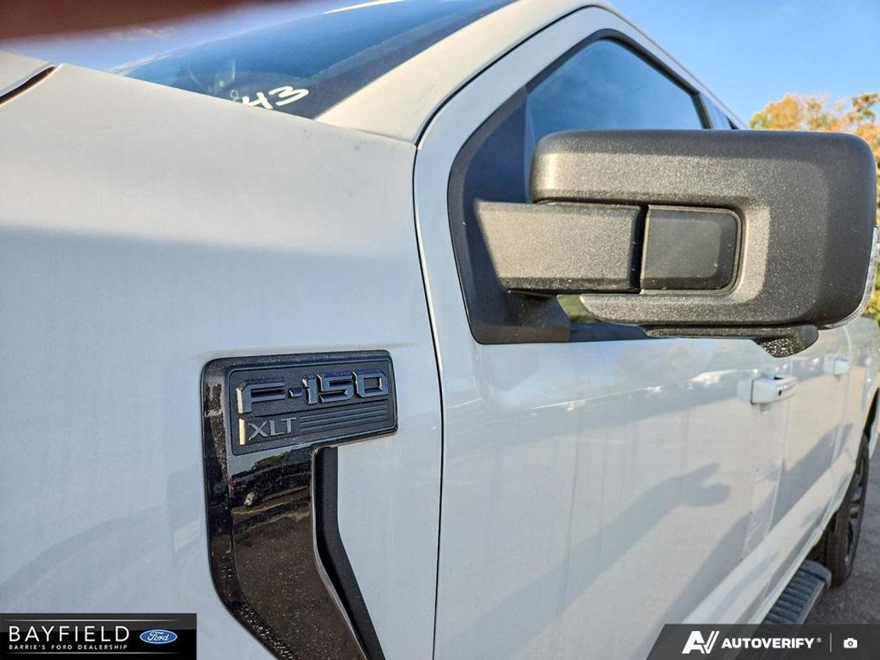 2026 Ford F-150 XLT Photo