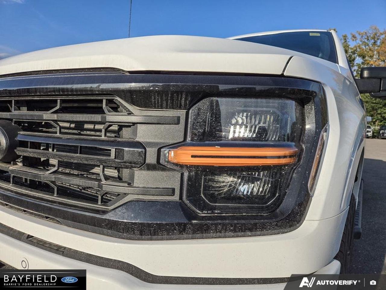 2026 Ford F-150 XLT Photo