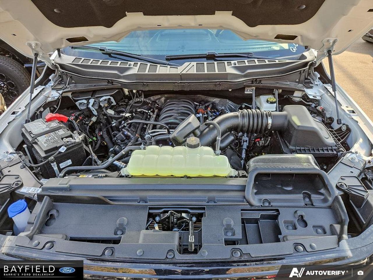 2026 Ford F-150 XLT Photo