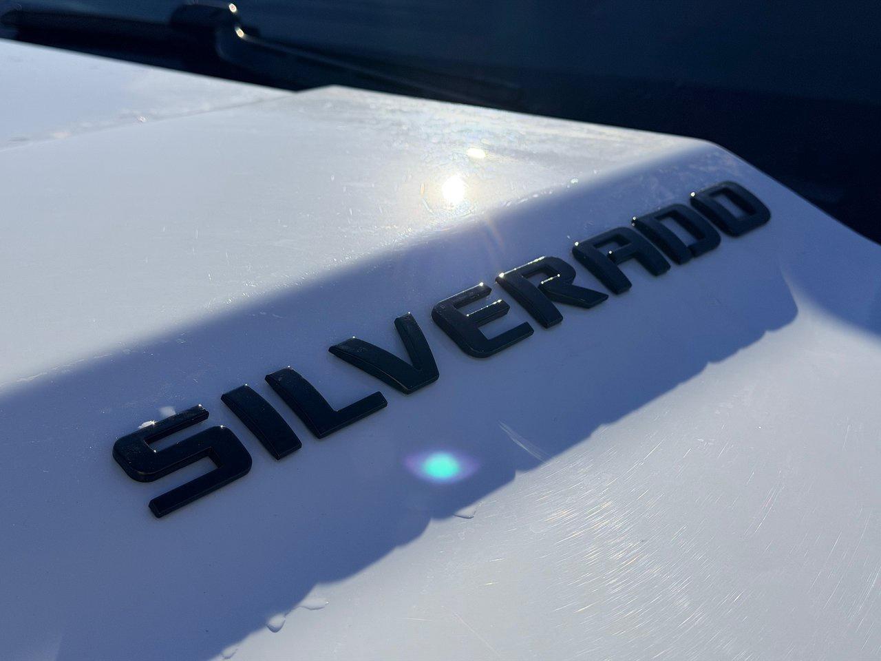 2018 Chevrolet Silverado 1500 4WD Crew Cab 153 Custom Photo