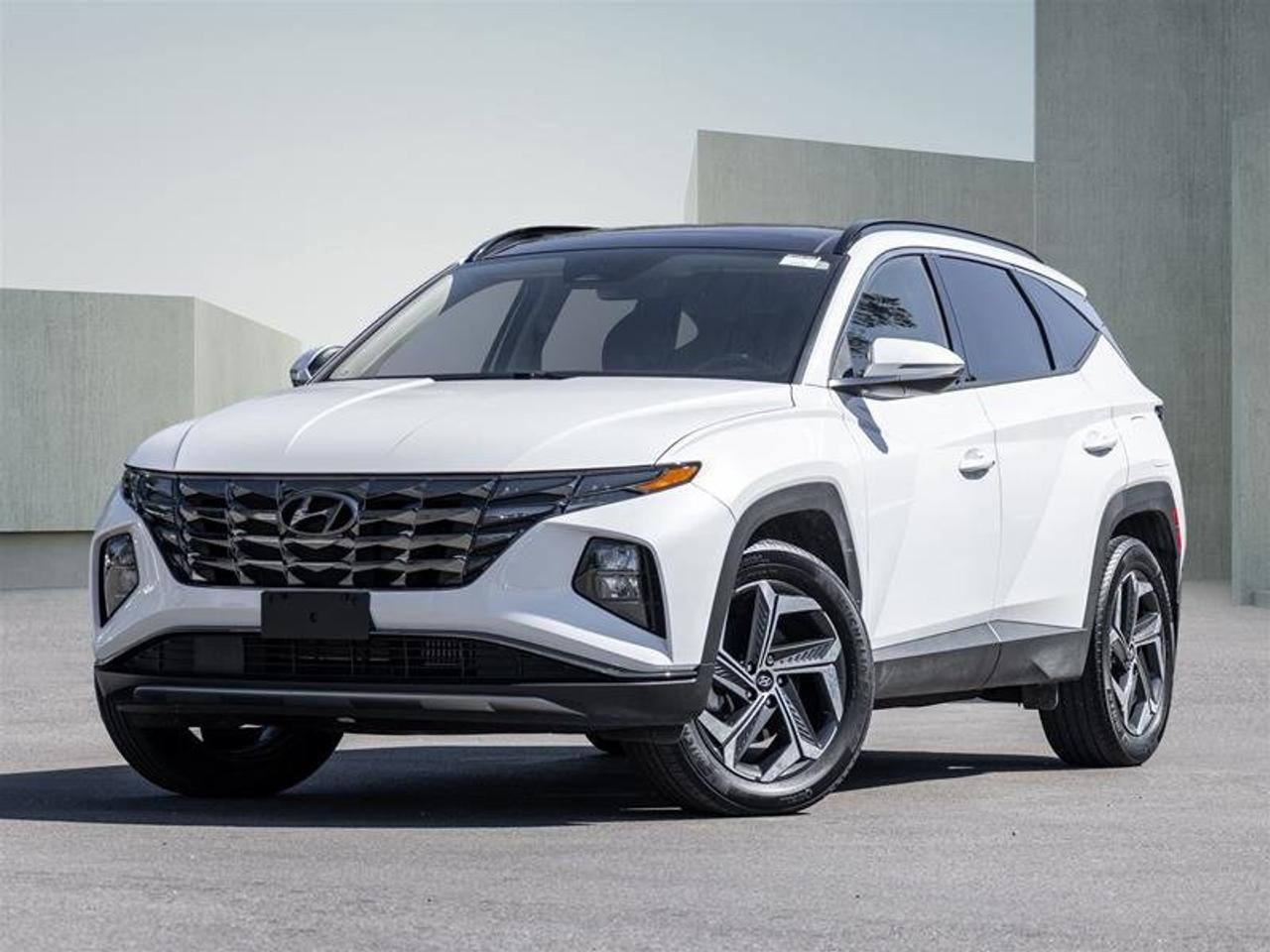 2024 Hyundai Tucson Hybrid Luxury AWD Photo