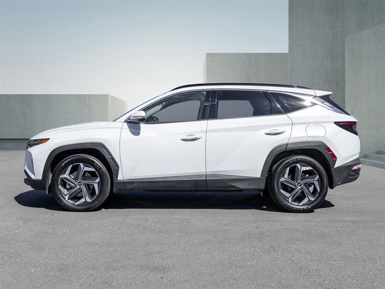 2024 Hyundai Tucson Hybrid Luxury AWD Photo
