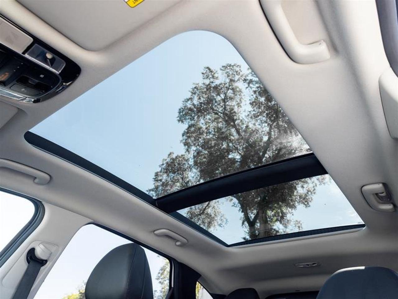 2024 Hyundai Tucson Hybrid Luxury AWD Photo