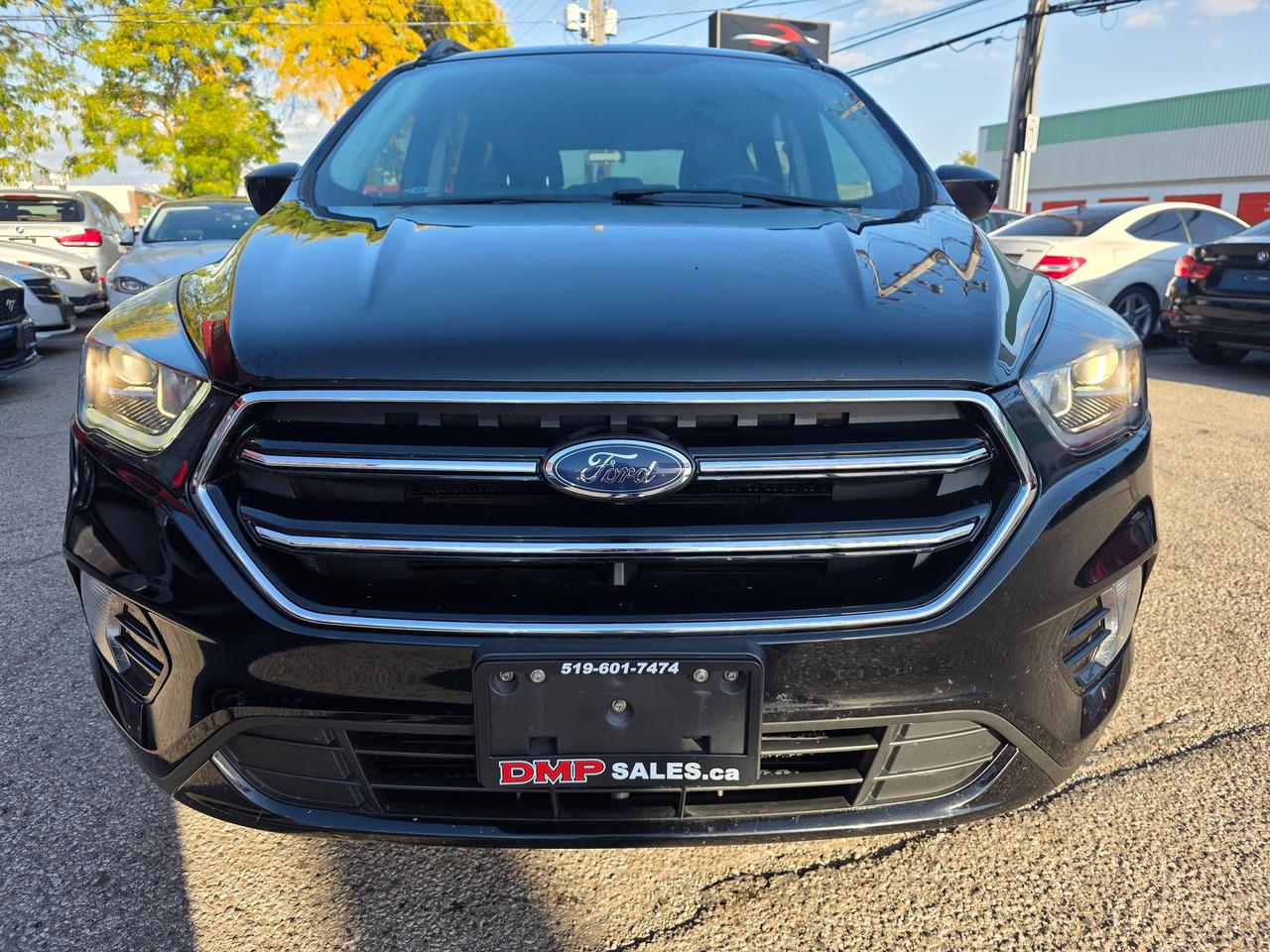 2017 Ford Escape SE Photo