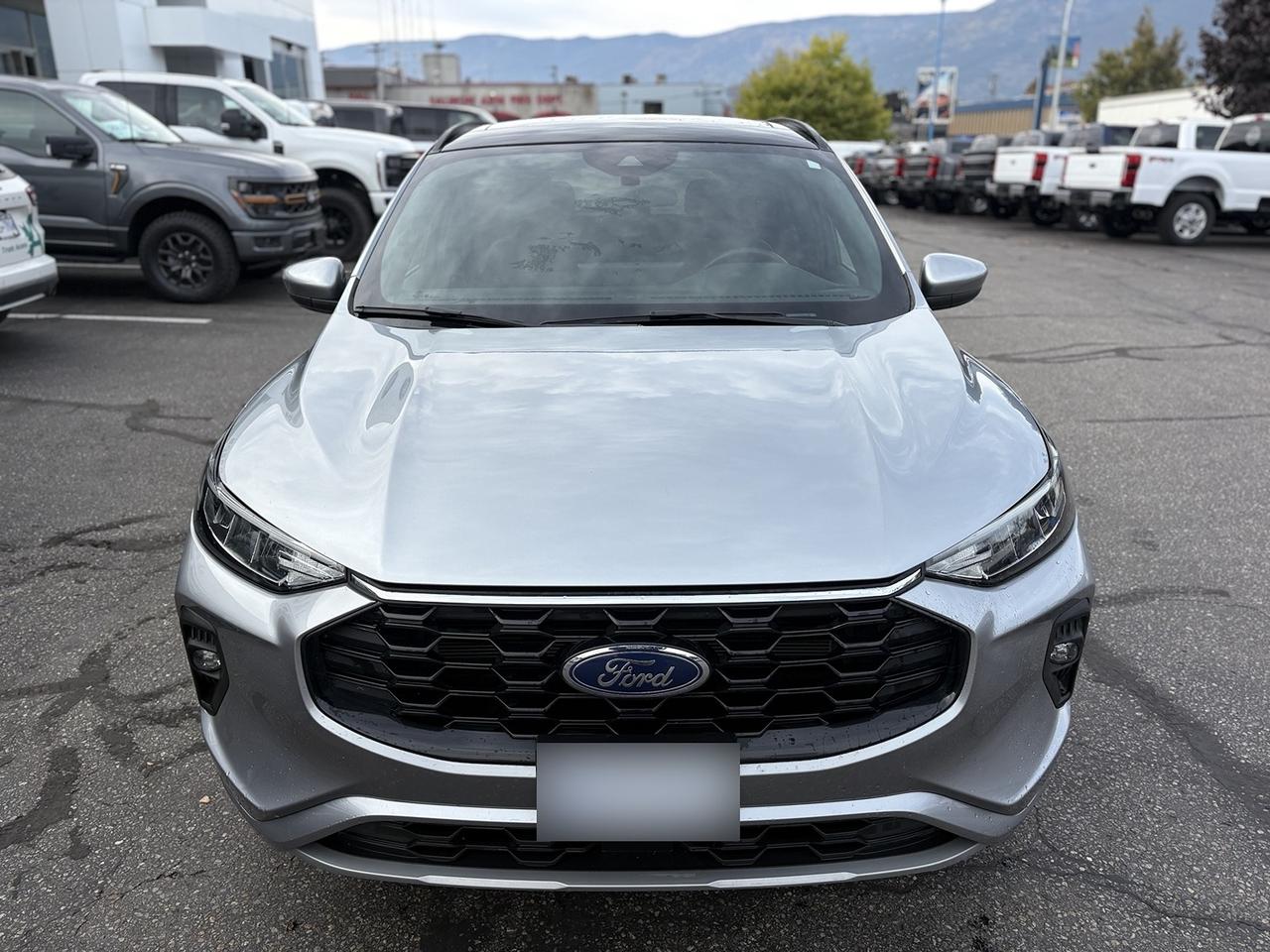 2024 Ford Escape ST-Line Select Photo4