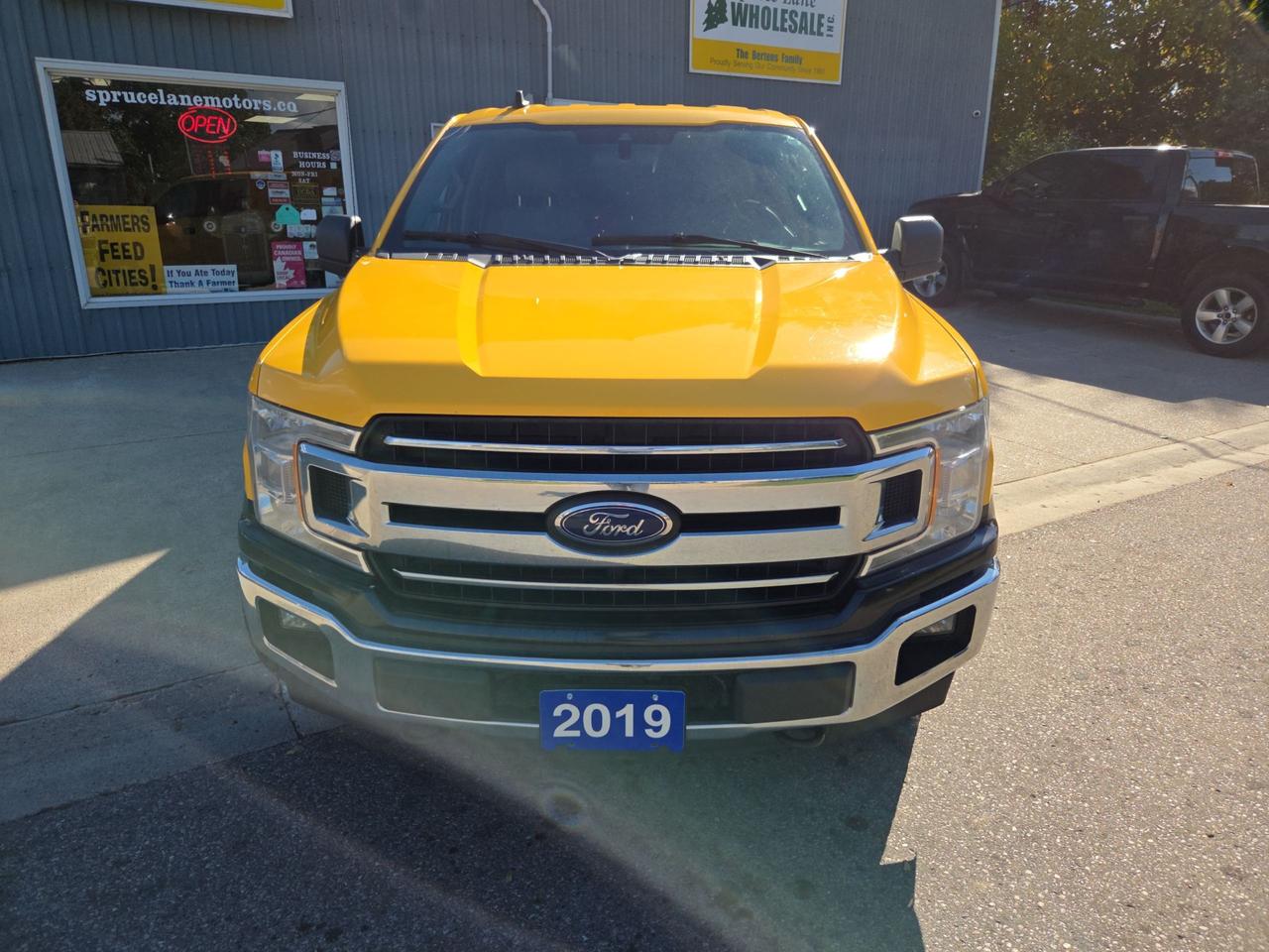 2019 Ford F-150 XLT   4X4 Photo5