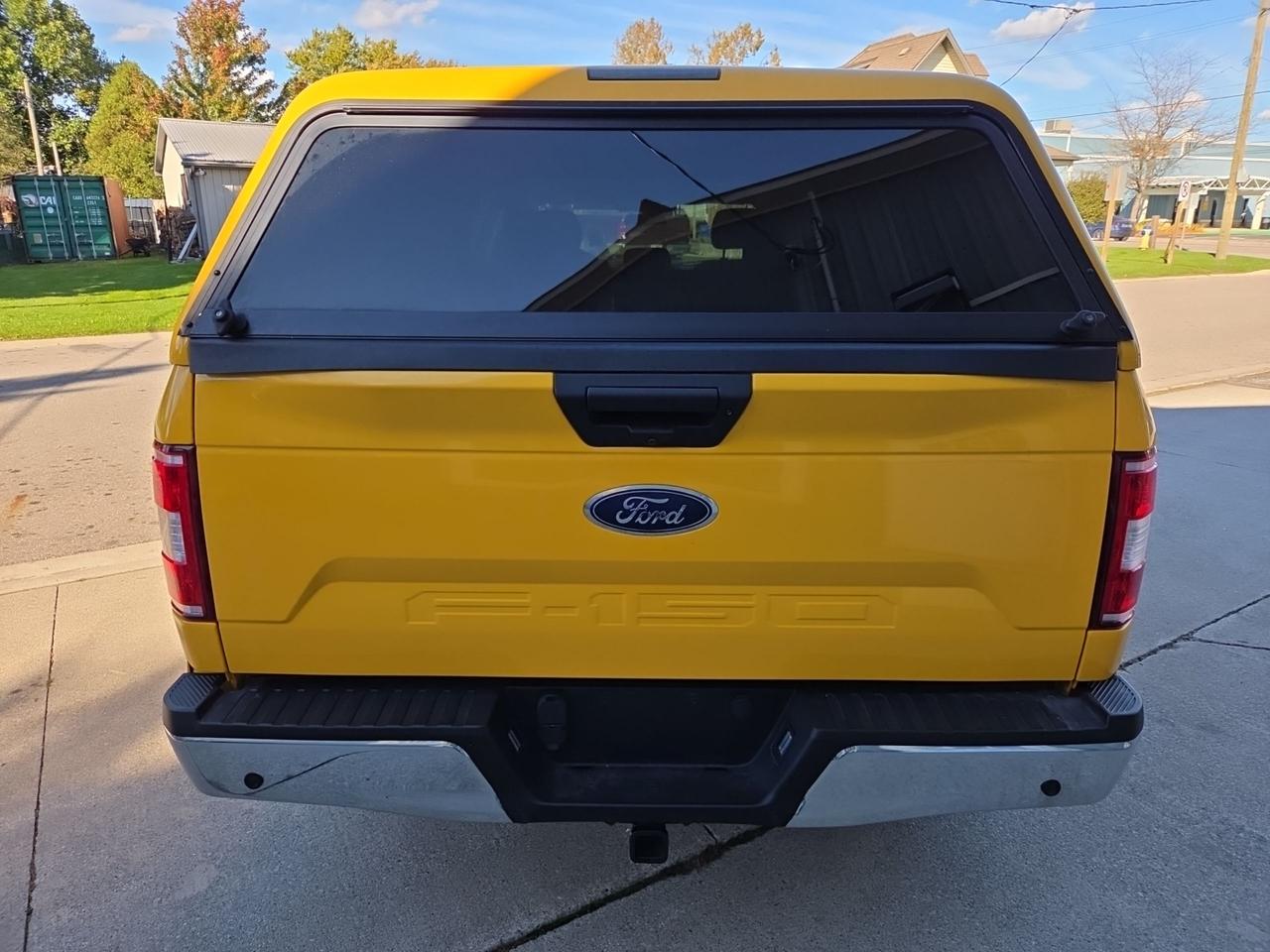 2019 Ford F-150 XLT   4X4 Photo