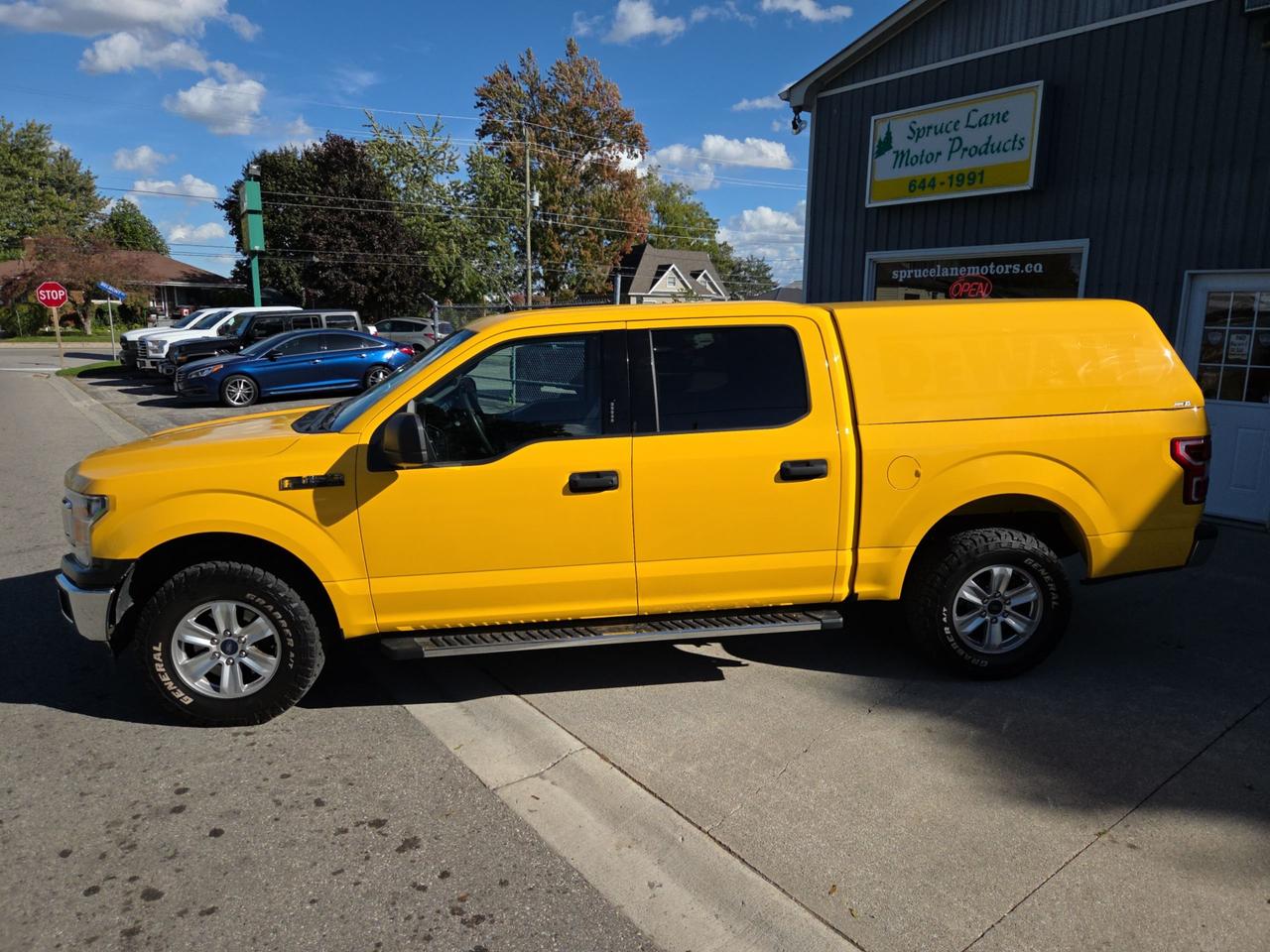 2019 Ford F-150 XLT   4X4 Photo