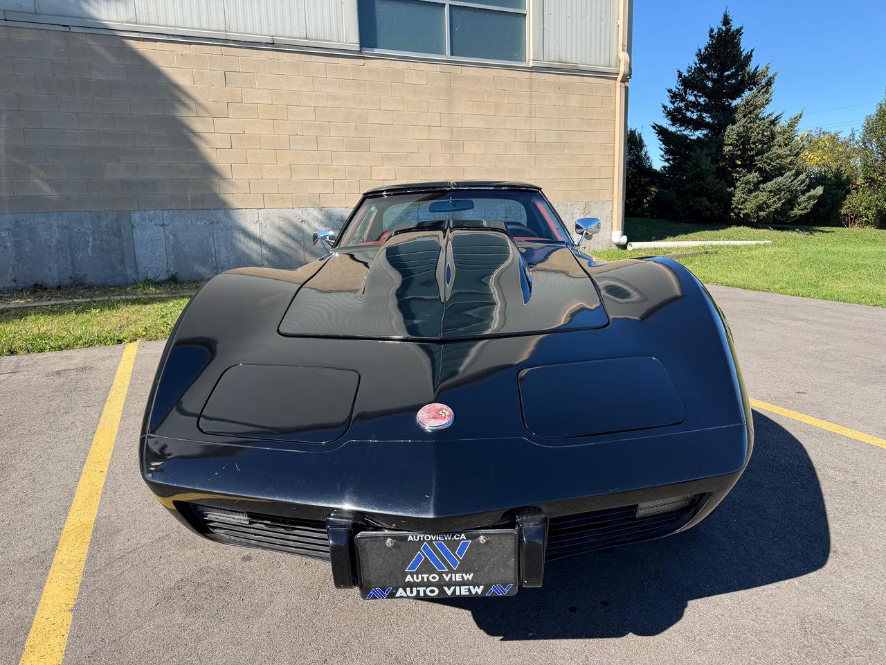 1976 Chevrolet Corvette T-Top *BUILT 350ci V8* Photo1