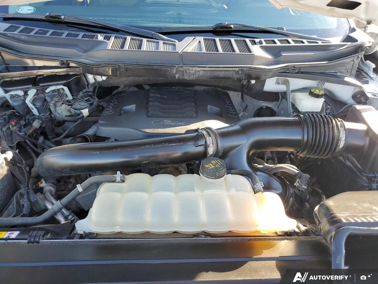 2022 Ford F-150 XLT 4WD SuperCrew 6.5' Box Photo