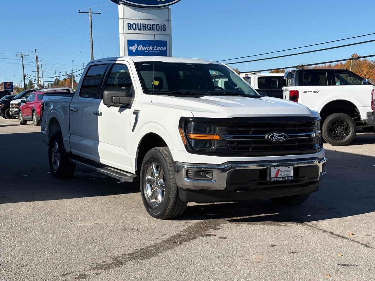 2024 Ford F-150 XLT 4WD SuperCrew 5.5' Box Photo