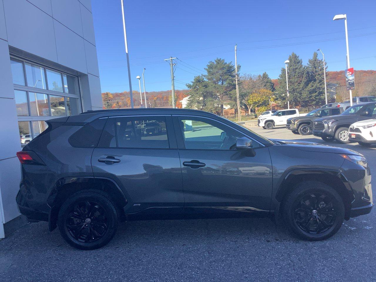 2022 Toyota RAV4 Hybrid SE Photo