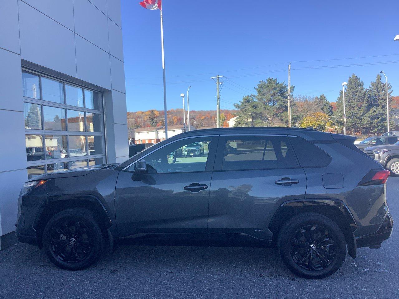 2022 Toyota RAV4 Hybrid SE Photo