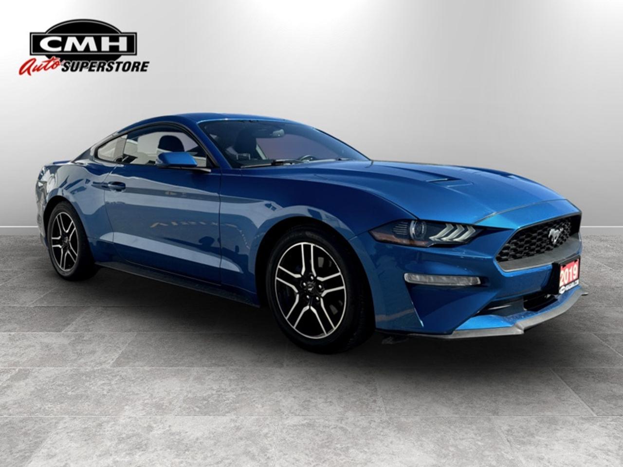 2019 Ford Mustang EcoBoost  - Low Mileage Photo