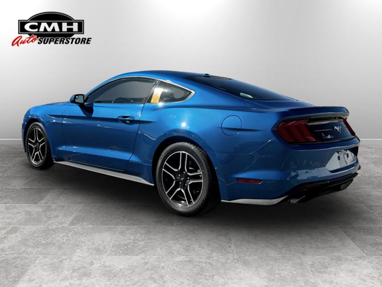 2019 Ford Mustang EcoBoost  - Low Mileage Photo5