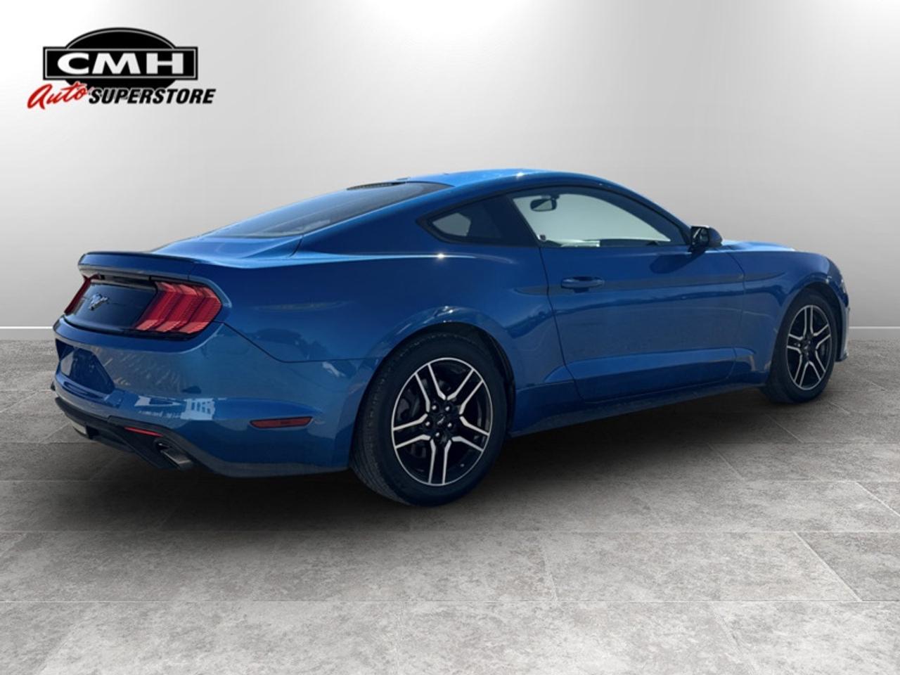 2019 Ford Mustang EcoBoost  - Low Mileage Photo