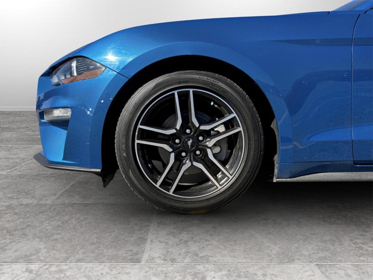 2019 Ford Mustang EcoBoost  - Low Mileage Photo