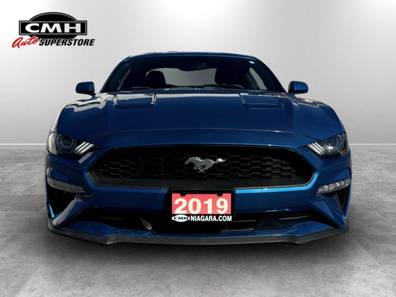 2019 Ford Mustang EcoBoost  - Low Mileage Photo