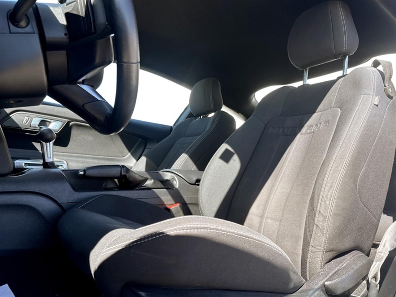 2019 Ford Mustang EcoBoost  - Low Mileage Photo
