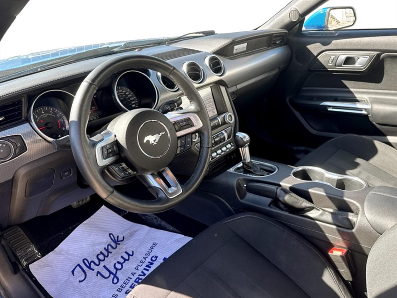2019 Ford Mustang EcoBoost  - Low Mileage Photo