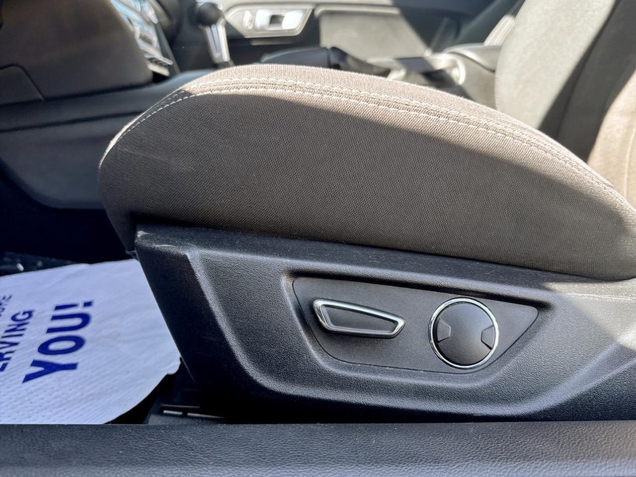 2019 Ford Mustang EcoBoost  - Low Mileage Photo