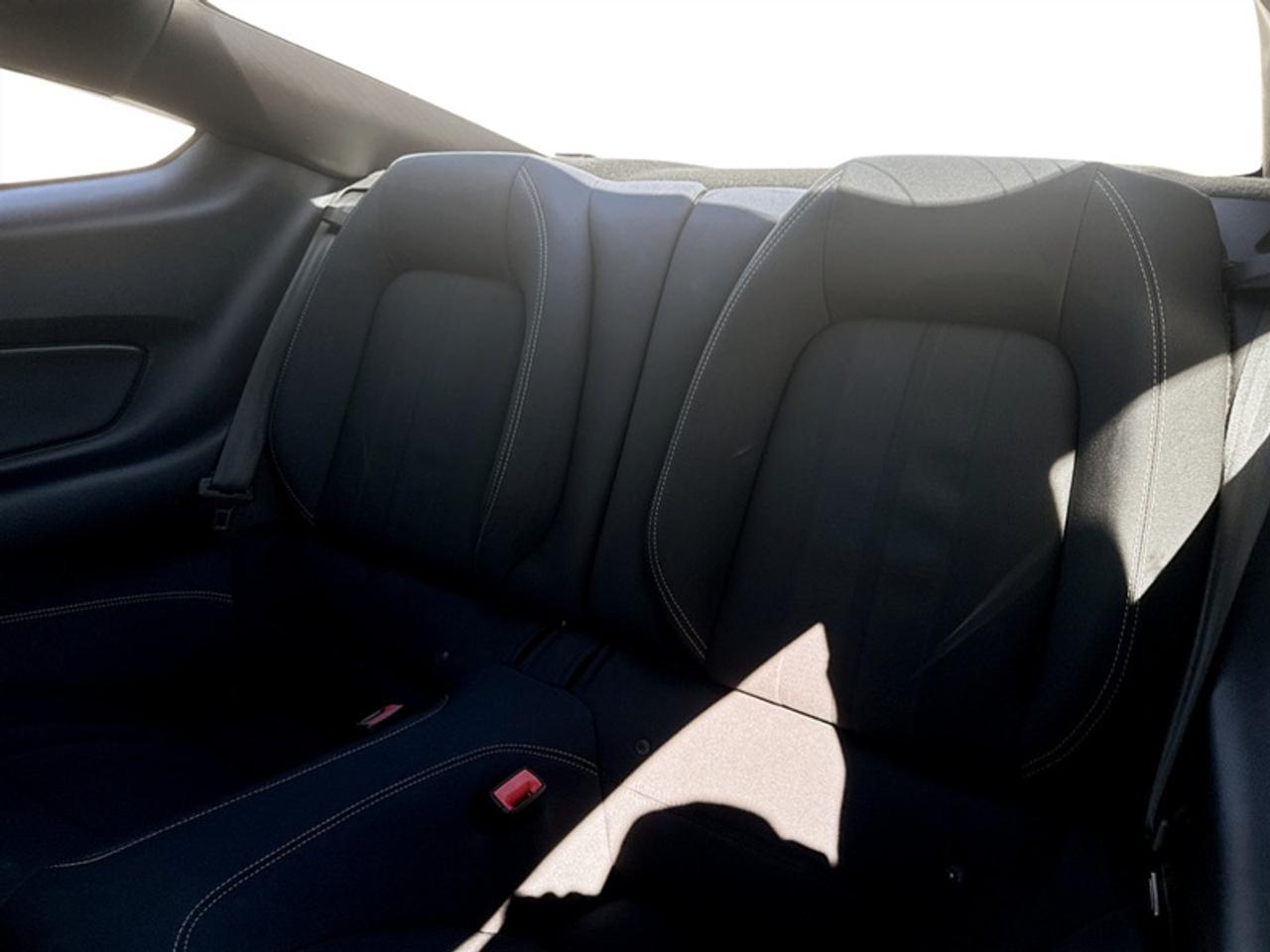 2019 Ford Mustang EcoBoost  - Low Mileage Photo